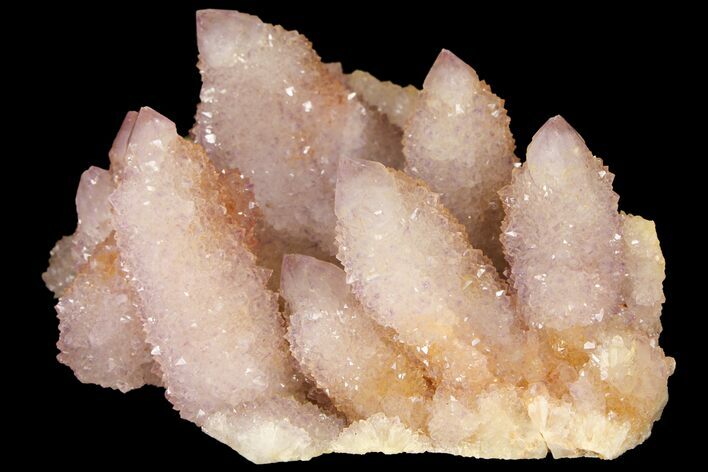 Cactus Quartz (Amethyst) Cluster - South Africa #94324